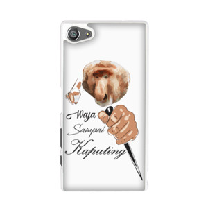 Wasaka Antan ae Casing HP