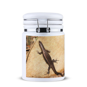 Toples Bumbu Lizard