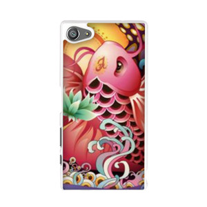 Koi Fish Casing HP