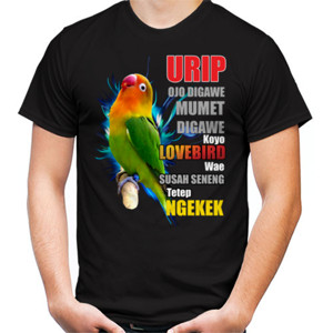 Kaos Lovebird