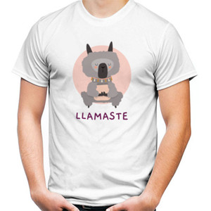 Kaos Llamaste