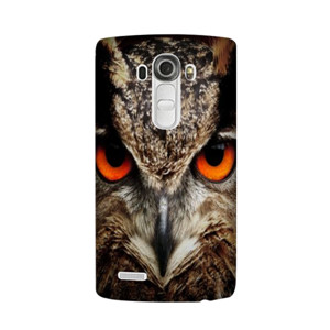 Design 36 Casing HP