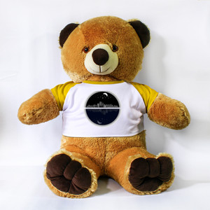 Boneka Beruang Malam