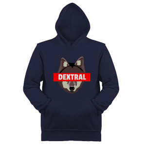 Jaket Hoodie DEXTRAL