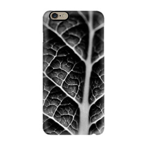 Leaf Vein Casing HP