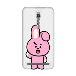 CASING BR21 COOKY Casing HP