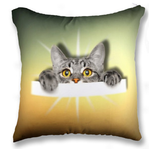 Bantal BANTAL SOFA KUCING LUCU CAT LOVER 05