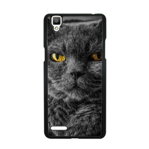CAT Face Casing HP