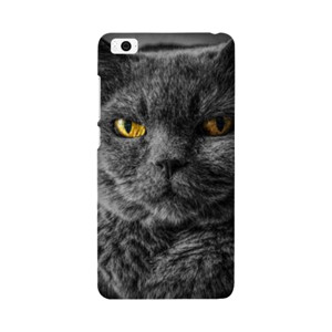 CAT Face Casing HP