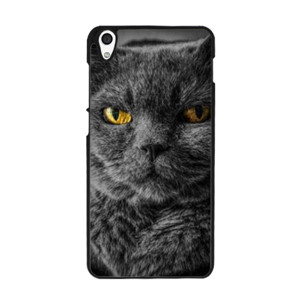 CAT Face Casing HP