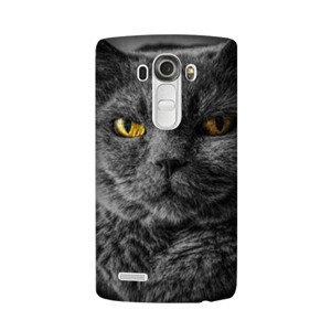 CAT Face Casing HP