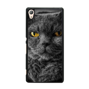 CAT Face Casing HP