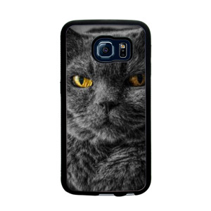 CAT Face Casing HP