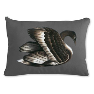 Bantal Black swan
