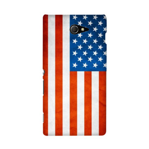 American Flag Casing HP