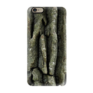 Tree of Century Casing HP