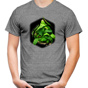 Kaos Anubias Coffeefolia