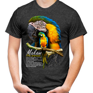 Kaos Makaw