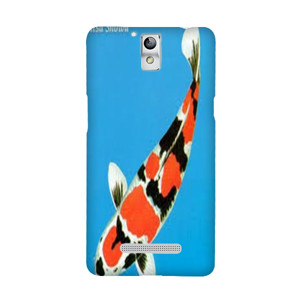 bang bgird Casing HP