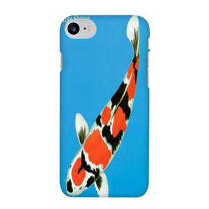 bang bgird Casing HP