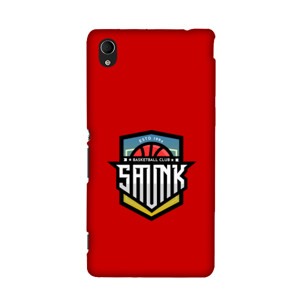 Casing Saunk Casing HP