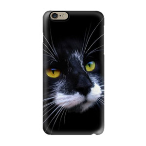 Black Cat Casing HP