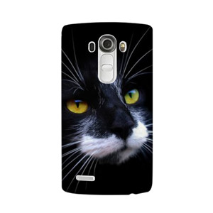Black Cat Casing HP