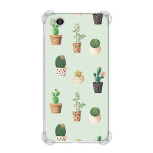 Casing HP Kaktus in Pot