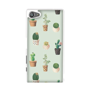 Kaktus in Pot Casing HP