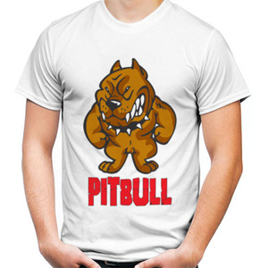 Kaos Distro Pitbull Energy
