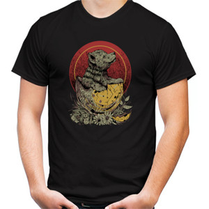 Kaos beruang ajaib