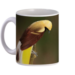 Mug Lesser Bird of Paradise