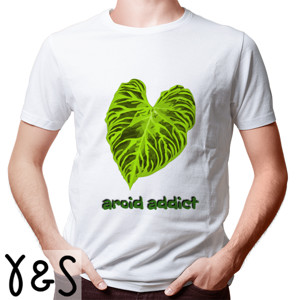 Kaos Kaos Pria aroid addict