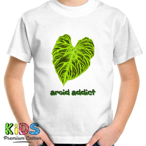 Kaos Kaos Pria aroid addict