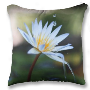 Bantal Beautiful Water Lily on Mini Pond