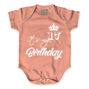 Baby Jumper 17 th Birthday T-Shirt