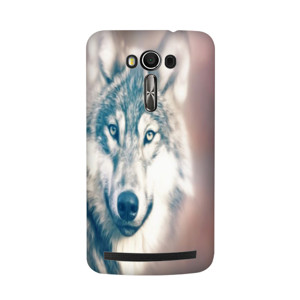 Wolf_01 Casing HP