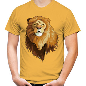 Kaos Singa