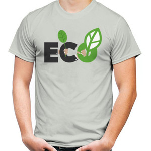 Kaos Ecology