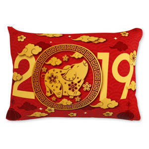 Bantal Babi Lucu 2019