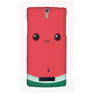watermelon Casing HP