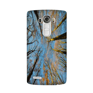 Autumn Tree casing HP Casing HP