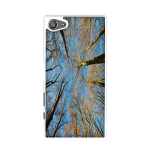 Autumn Tree casing HP Casing HP