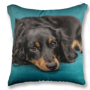 Bantal LITTLE CUTE PUPPY