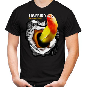 Kaos Lovebird