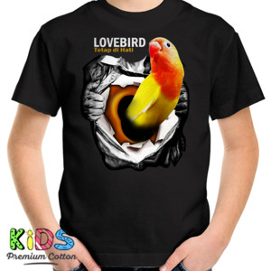 Kaos Lovebird