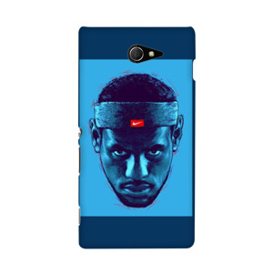 Lebron James Casing HP