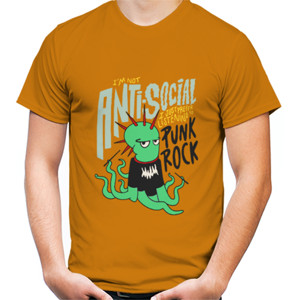 Kaos Im Punk Rock