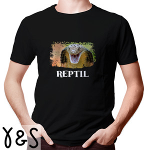 Kaos kaos reptil
