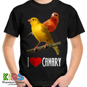 Kaos Burung Kenari